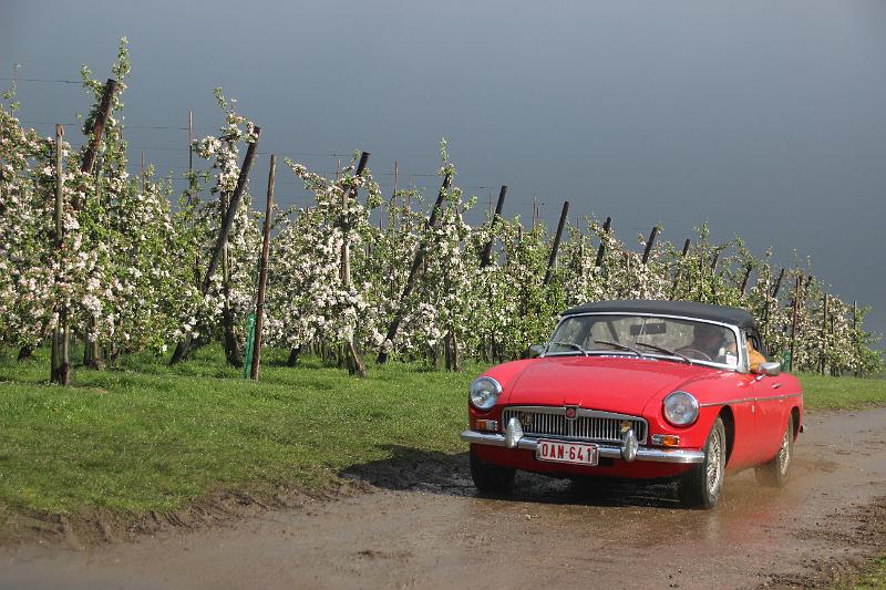 MG Bloesemrit op 24-4-2016 org. Jos&Marie-lou  (299).JPG